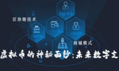 揭开KOPAY虚拟币的神秘面纱：未来数字支付的新契