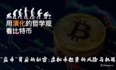 “盗币”背后的秘密：虚拟币投资的风险与机遇